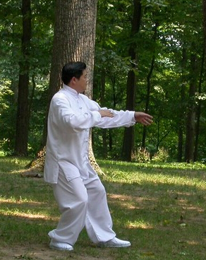 陳式太極拳 陳氏太極拳的訓(xùn)練方法