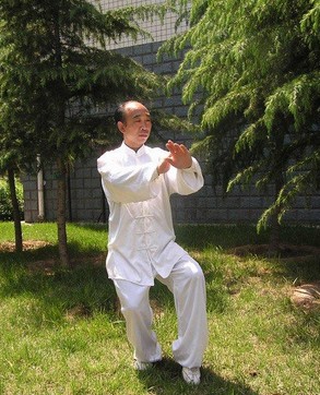 道家養(yǎng)生功 養(yǎng)生太極拳