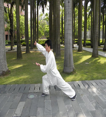 太極步怎么練  練習(xí)太極步的技巧