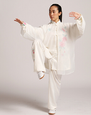 道家功法 太極拳的種類介紹