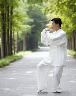 武當(dāng)太極拳 詳解武當(dāng)太極拳九式