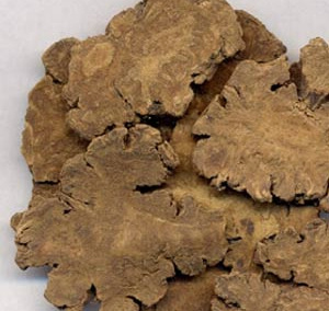 如何補(bǔ)血益氣 當(dāng)歸食用方法及適合人群