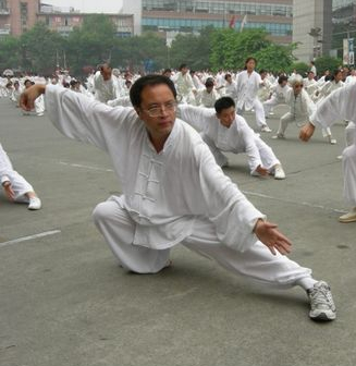 太極拳和國(guó)學(xué) 太極拳是國(guó)學(xué)智慧的結(jié)晶