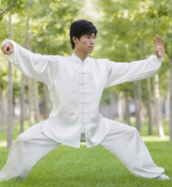 太極拳教程 太極拳運(yùn)用四項(xiàng)準(zhǔn)則的六項(xiàng)功能