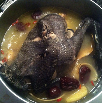 如何益氣補血 當歸黃芪烏雞湯的功效及烹法