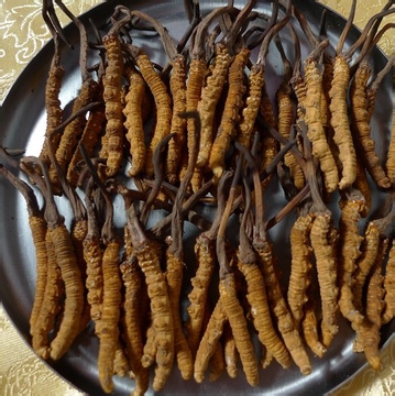 女人腎虛常見(jiàn)10種癥狀 推薦10食物補(bǔ)腎養(yǎng)腎