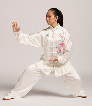 楊式太極拳 楊式太極拳有哪幾種招式