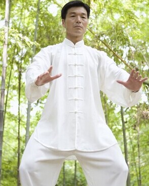 陳式太極拳 初學(xué)陳氏太極的注意事項(xiàng)