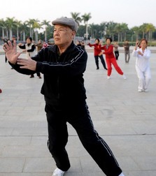 陳式太極拳 陳式太極拳主要招式有哪些