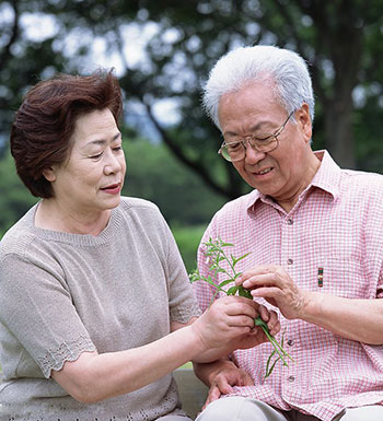 老年人飲食誤區(qū) 一味吃素不利于老年人健康