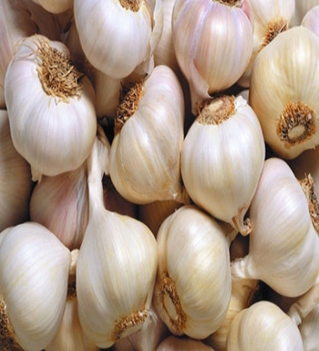 大蒜的功效  肝病患者千萬別吃蒜