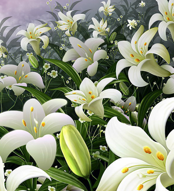 老年人想長壽吃什么好 老年人吃什么長壽