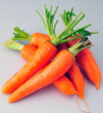 胡蘿卜有哪些功效與作用 吃胡蘿卜有什么好處