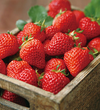 反季節(jié)水果好看不中用 吃反季節(jié)水果謹(jǐn)防激素