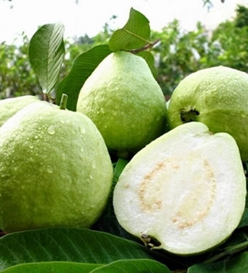 夏季容易出現(xiàn)拉肚子 拉肚子吃什么水果好