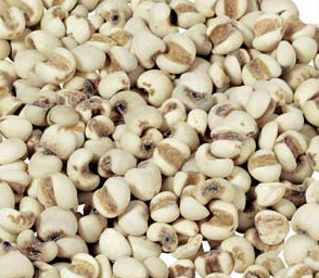 薏米的營養(yǎng)價值對老弱病者更為適宜