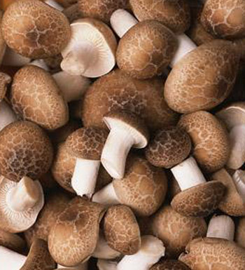 產(chǎn)后吃什么好 專家建議 產(chǎn)后要多吃蘑菇