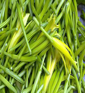 千萬不能生吃的食物  生豆?jié){千萬不能喝