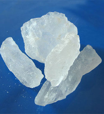 夏季蚊蟲多 戶外爬山怎樣防蚊蟲叮咬