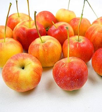 酸澀食物可以防癌 盤點(diǎn)那些防病防癌的食物