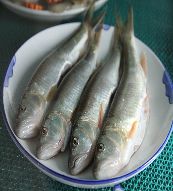 千萬不能生吃的食物  生豆?jié){千萬不能喝