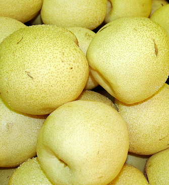 梨子的功效與作用 吃梨可保視力補津液