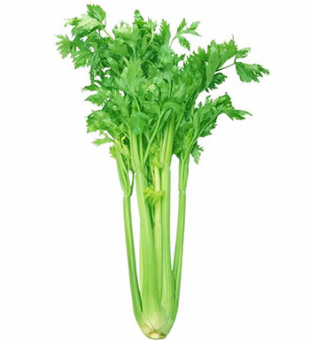 油膩食物危害大需慎吃 8種食物解油膩