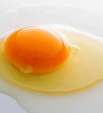 吃蛋黃好還是蛋清好 蛋清和蛋黃哪個更有營養(yǎng)