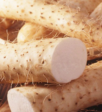 山藥白果特補腎 盤點6種特效強身補腎食物