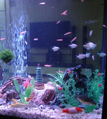 辦公室 悶熱辦公室里保健法