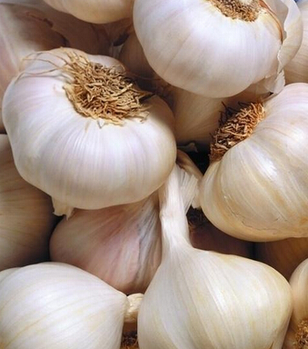 天天飲食 男人如何吃出健康來