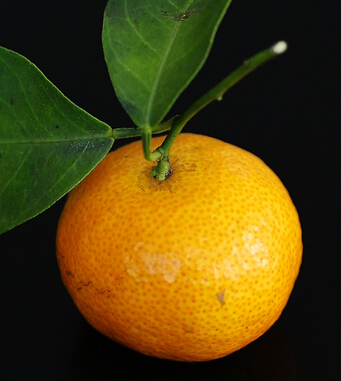 空腹吃蘋果好嗎 饑餓時勿食8種水果