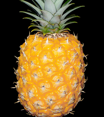 水果的營(yíng)養(yǎng)價(jià)值 九大水果的奇異功效