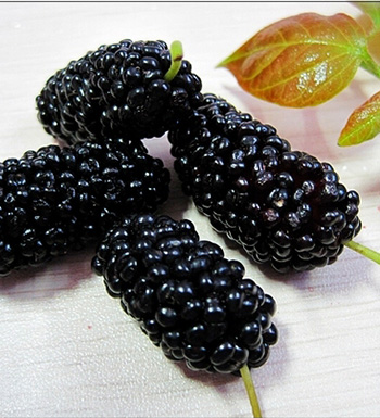 長痘痘不能吃什么 杜絕這些食物遠離痘痘