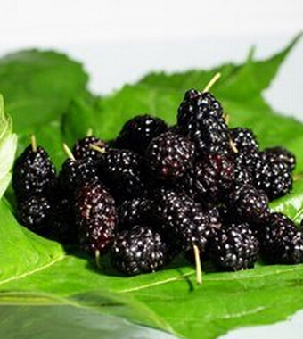 獼猴桃的功效 多吃一種水果多收一份健康