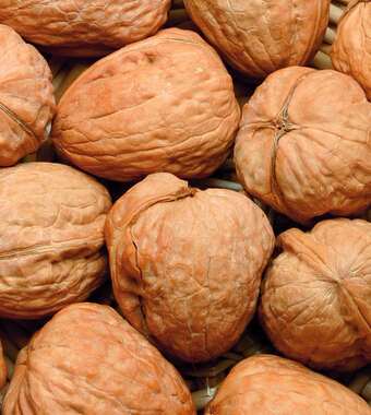 中醫(yī)養(yǎng)生 老年人養(yǎng)生強(qiáng)薦 四梢 養(yǎng)生法