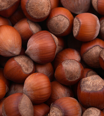 健康飲食小知識 10大堅果食用禁忌