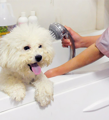 養(yǎng)生常識 如何應(yīng)對夏天易發(fā)的5種皮膚病