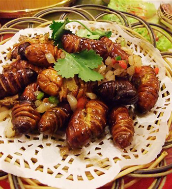 腎虛怎么辦  教你五個(gè)不用花錢的養(yǎng)腎良方