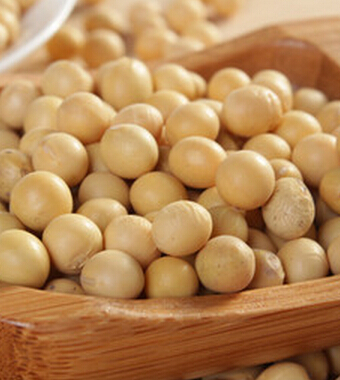 腎虛的癥狀有哪些 女人腎虛六大癥狀剖析