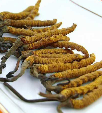 如何壯陽補(bǔ)腎 男人補(bǔ)腎養(yǎng)腎的方法有哪些