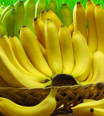 香蕉的功效與作用 香蕉的價值 不可小覷