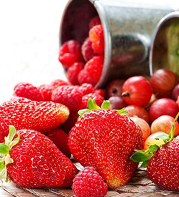 抗衰老的食物有哪些 吃什么抗衰老