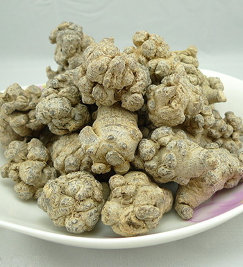 中藥常識 三七保健養(yǎng)生的適用人群