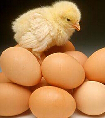 飲食搭配禁忌 喝茶千萬要忌這些食物