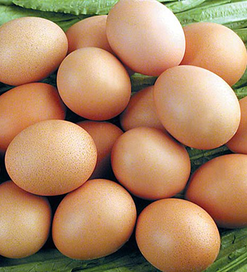 經(jīng)常宿醉有哪些危害 什么食物可以解酒