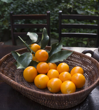 頭發(fā)護(hù)理 長發(fā)美女多吃這8種水果