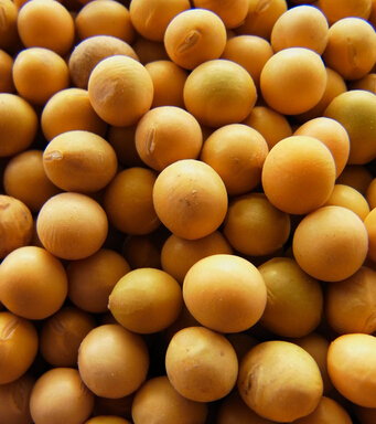 天天飲食 揭男人絕不能吃的5種食物