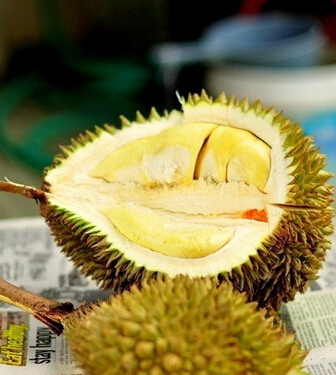 榴蓮的營(yíng)養(yǎng)價(jià)值 滋補(bǔ)又可緩?fù)唇?jīng)
