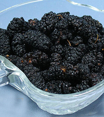 桑葚的功效與作用 常食桑葚保年輕